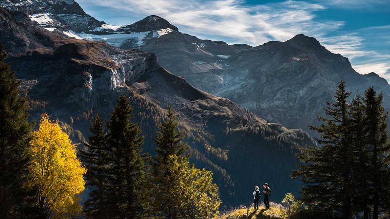 env Komutu Kapsamlı Teknik Başvuru Kılavuzu (Cheatsheet)
