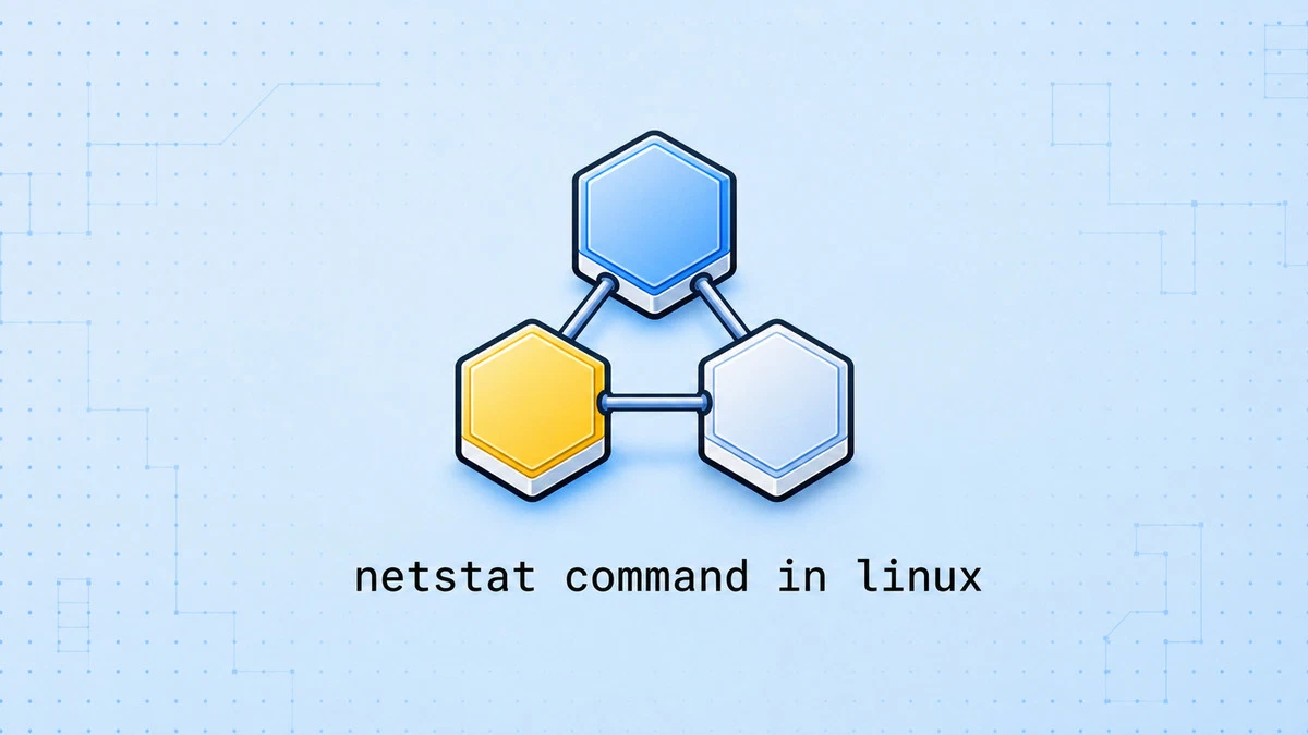 Linux Sistemlerde netstat Komutu ile Ağ Bağlantıları ve İstatistik Yönetimi