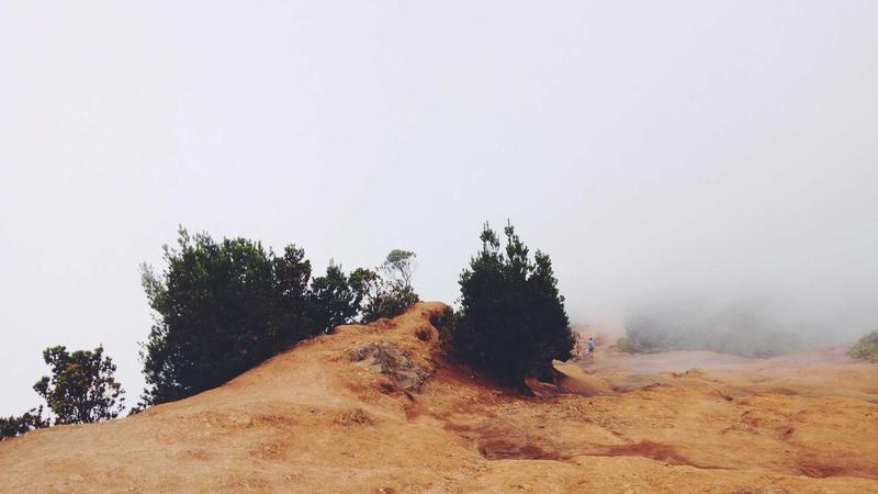 Bash `export` Komutu Hile Sayfası: Ortam Değişkenlerini Yönetme